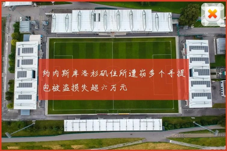 约内斯库洛杉矶住所遭窃多个手提包被盗损失超六万元