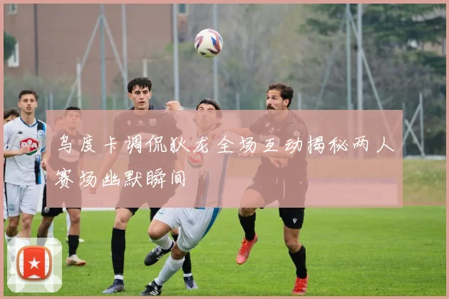 乌度卡调侃狄龙全场互动揭秘两人赛场幽默瞬间