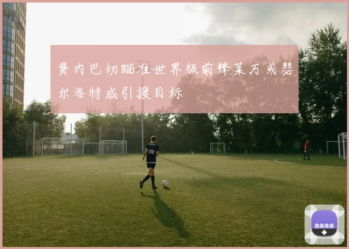 费内巴切瞄准世界级前锋莱万或瑟尔洛特成引援目标
