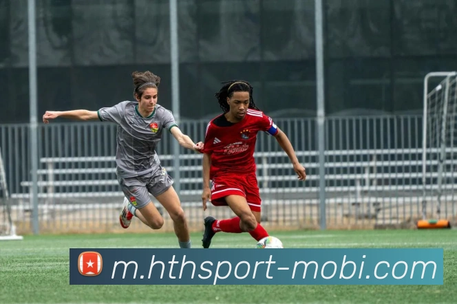 华体会体育服务体系